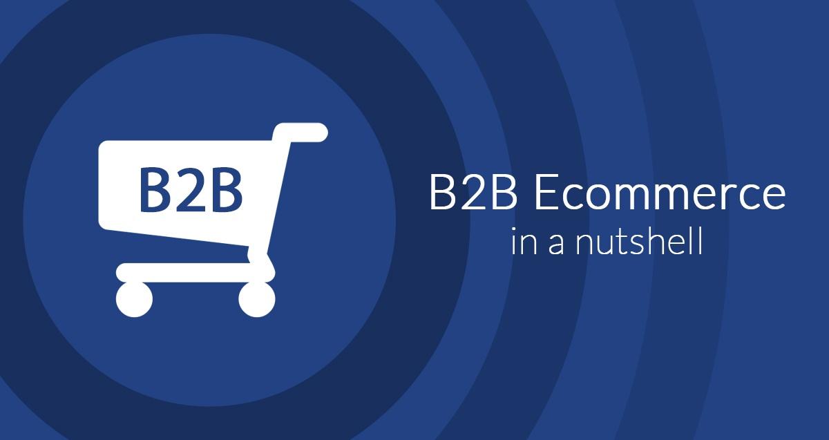 What is B2B Ecommerce and How Does it Differ from B2C?